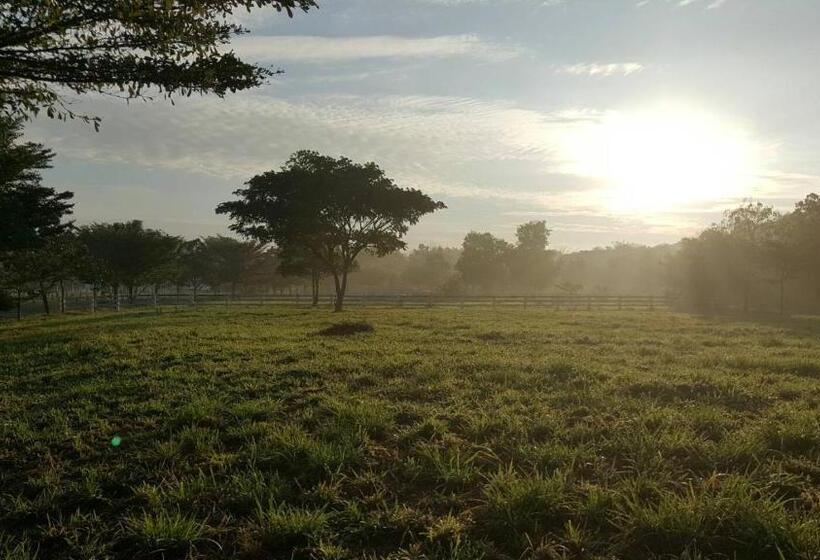 酒店 Thongsathit Hill Resort Khaoyai