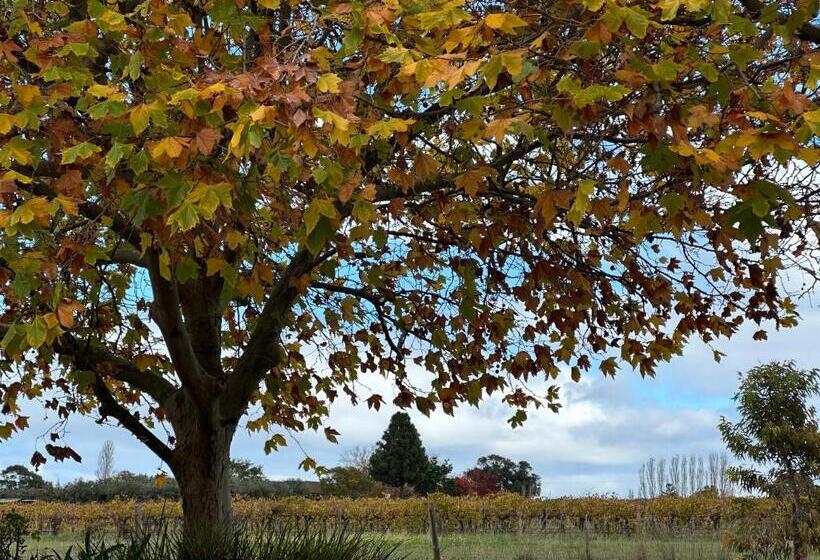 Wine And Roses Bed And Breakfast