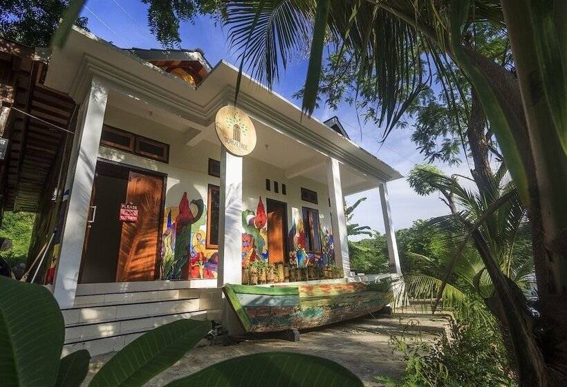 호스텔 Dorme Tree