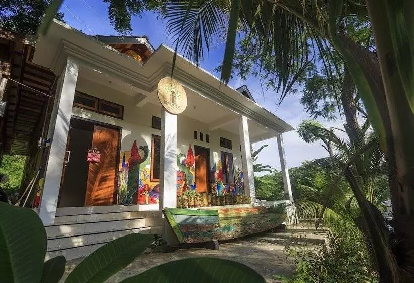 هاستل Dorme Tree