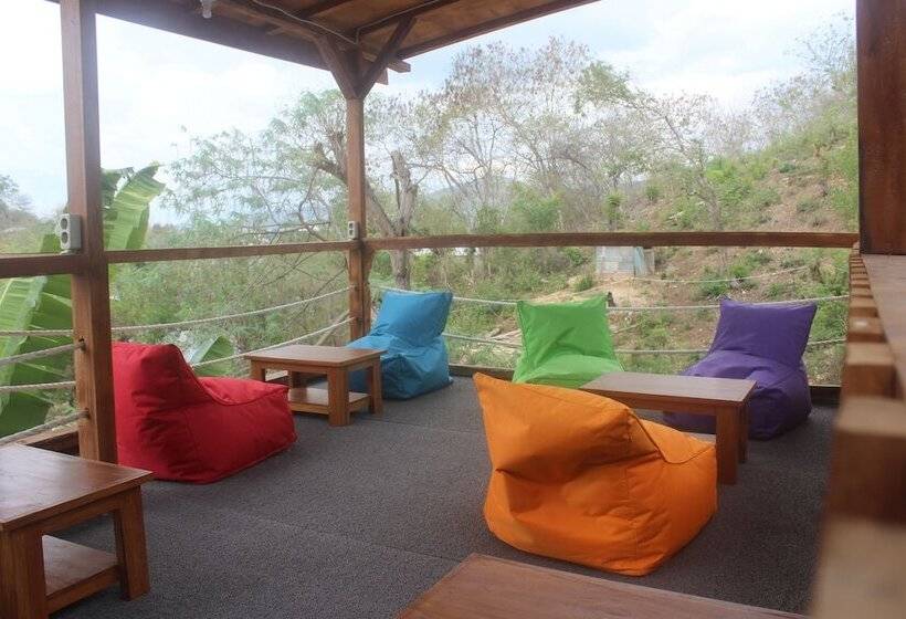 호스텔 Dorme Tree