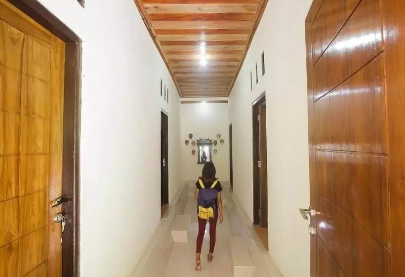 هاستل Dorme Tree