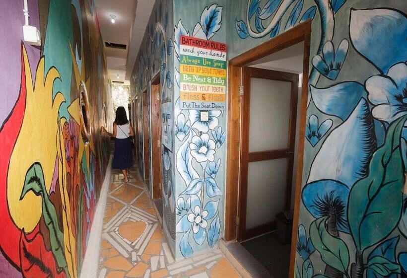 호스텔 Dorme Tree