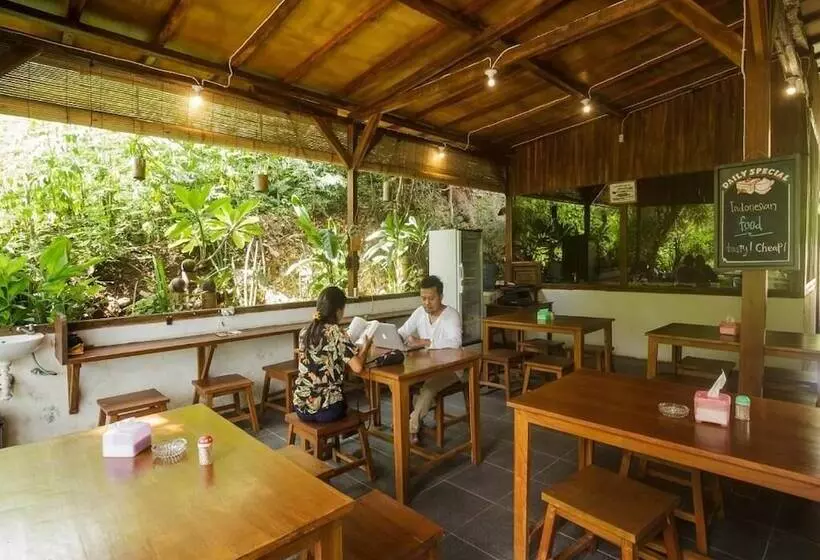 هاستل Dorme Tree