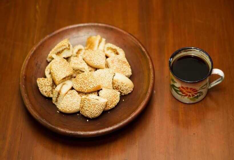 호스텔 Dorme Tree