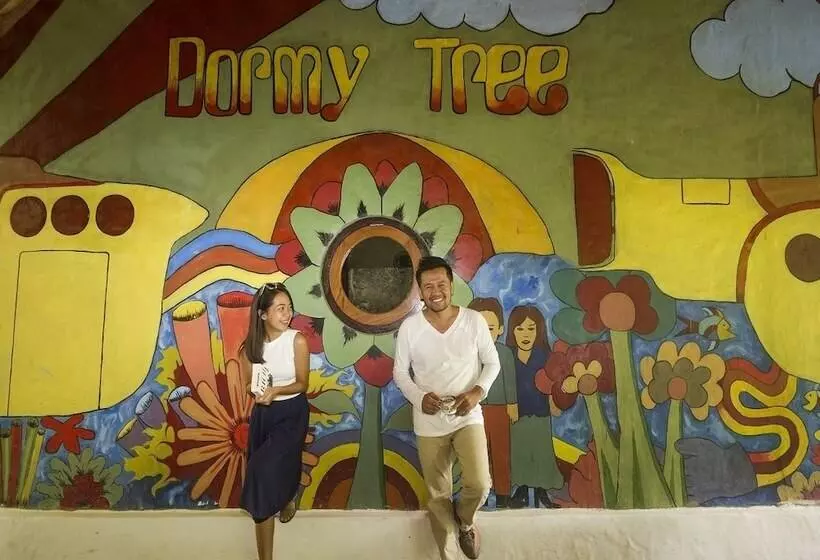 هاستل Dorme Tree