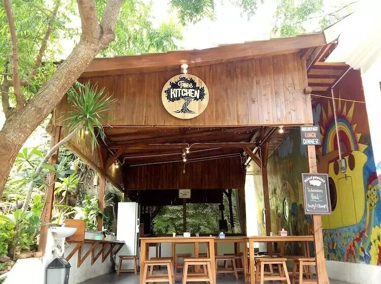 هاستل Dorme Tree