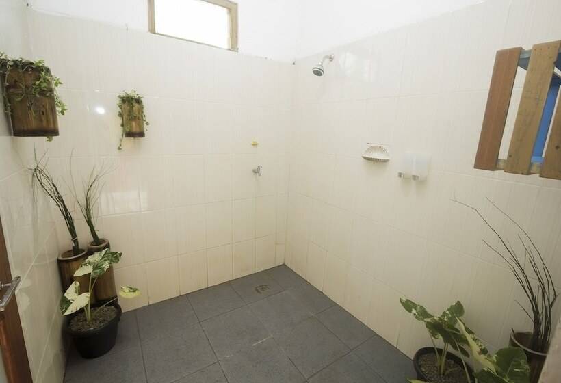 호스텔 Dorme Tree