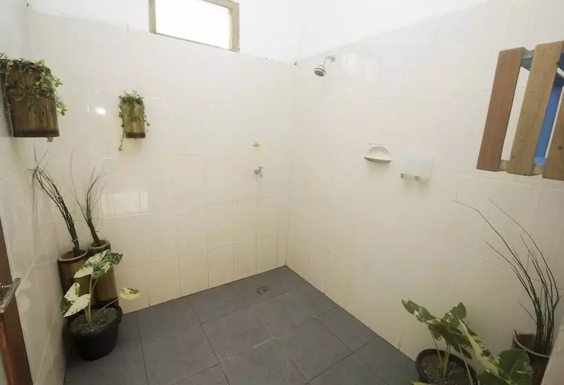 هاستل Dorme Tree