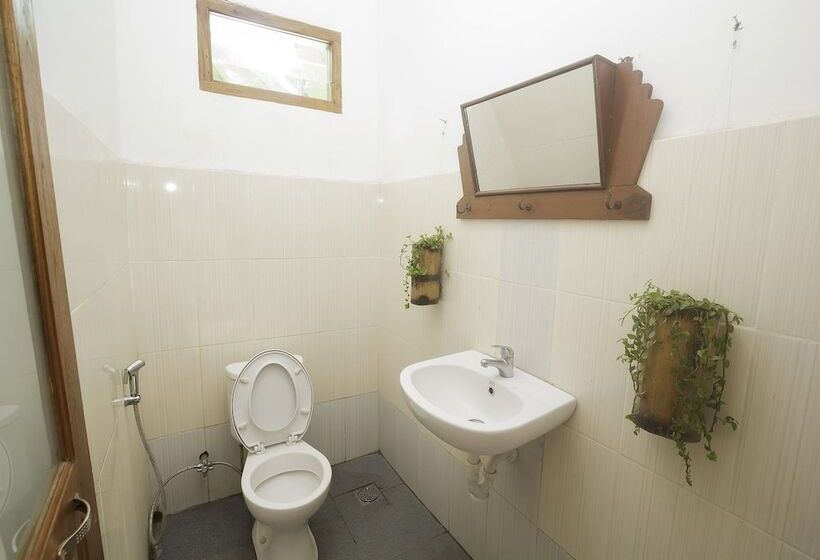 호스텔 Dorme Tree