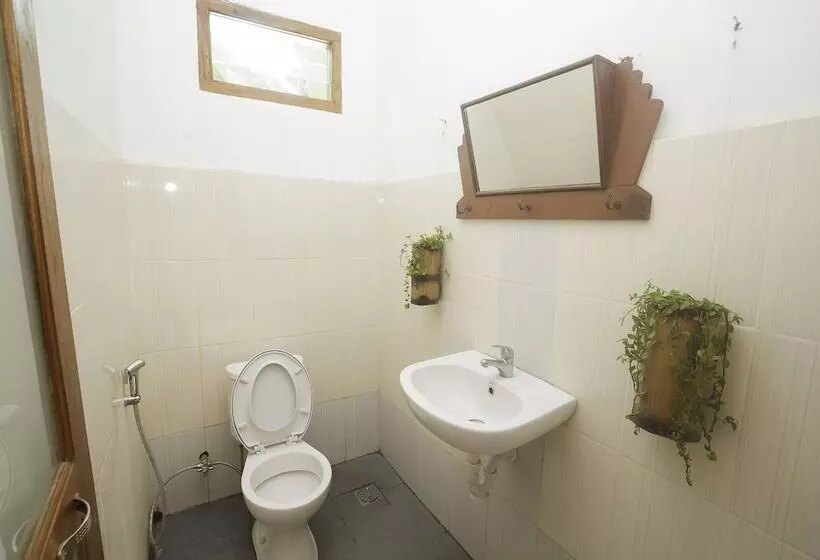 هاستل Dorme Tree