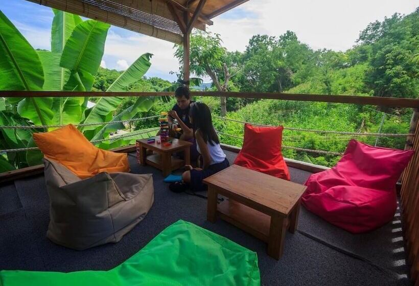 호스텔 Dorme Tree