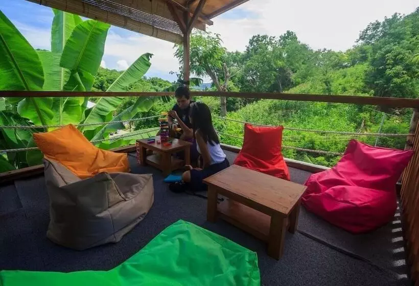 هاستل Dorme Tree