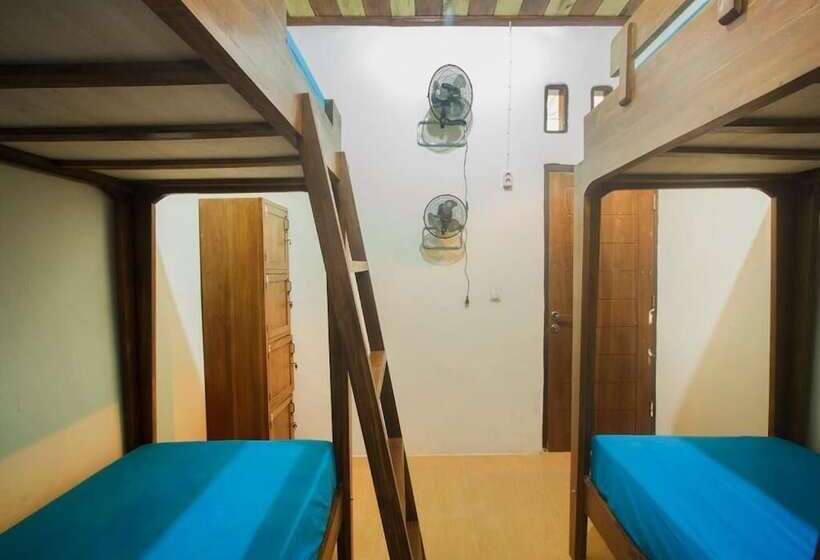 호스텔 Dorme Tree