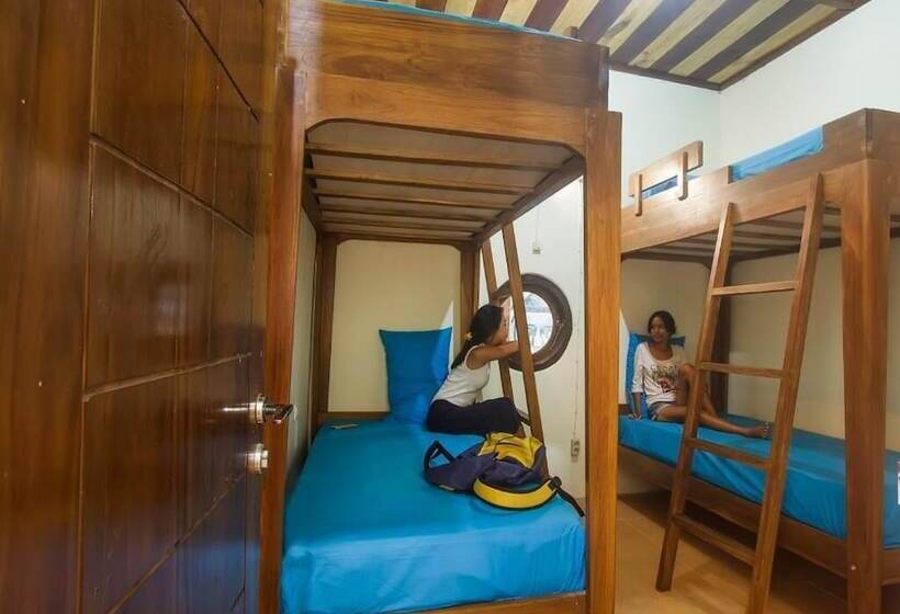 호스텔 Dorme Tree