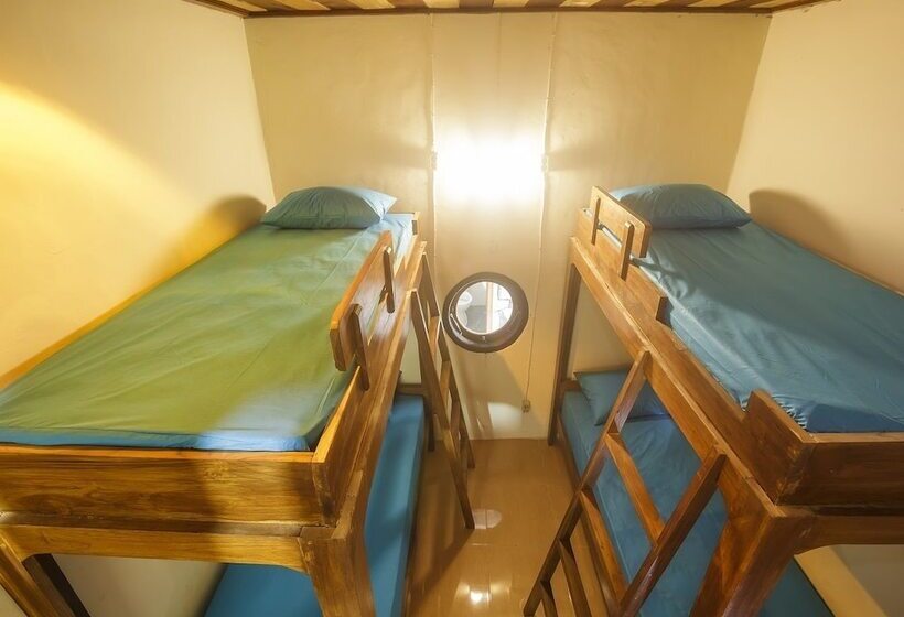 호스텔 Dorme Tree