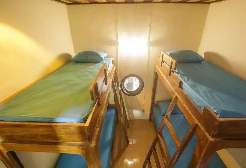 هاستل Dorme Tree