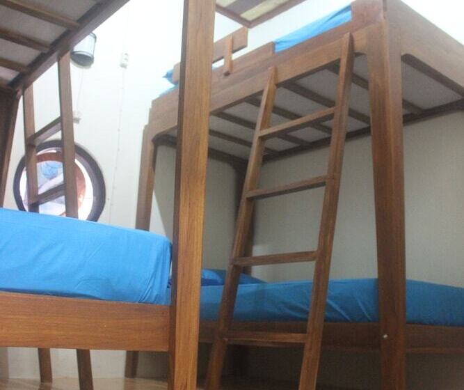 호스텔 Dorme Tree