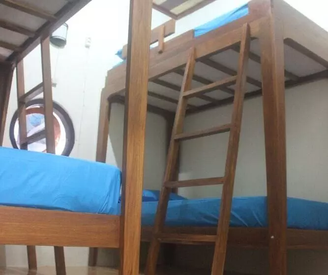 هاستل Dorme Tree