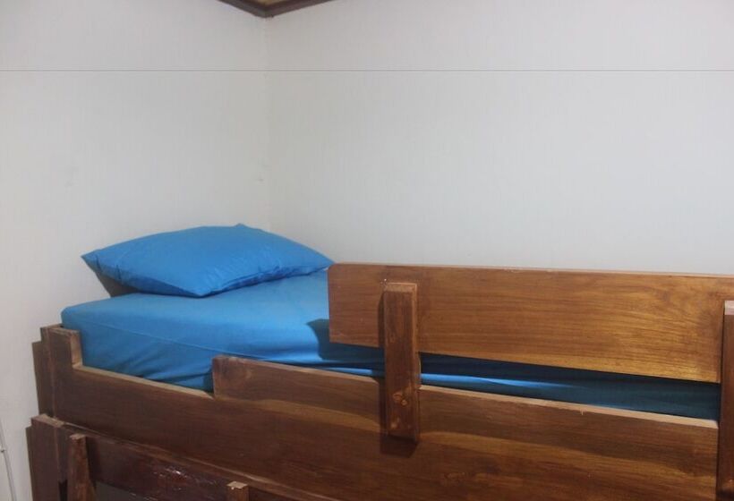 호스텔 Dorme Tree