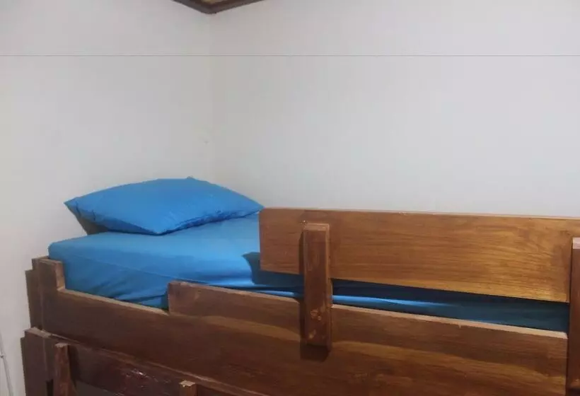 هاستل Dorme Tree