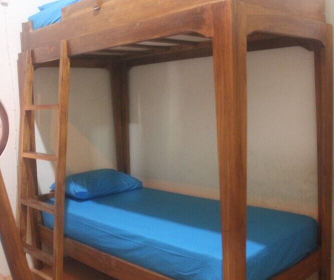 호스텔 Dorme Tree