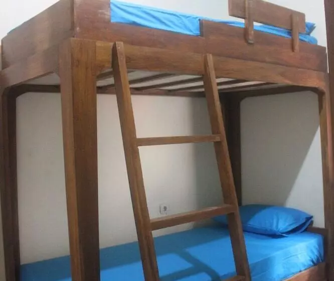 هاستل Dorme Tree