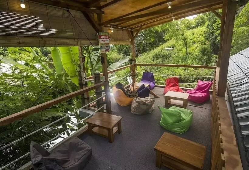 هاستل Dorme Tree