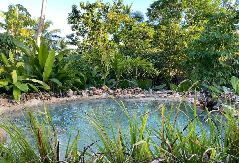 تختخواب و صبحانه Aventura Rincon Ecolodge