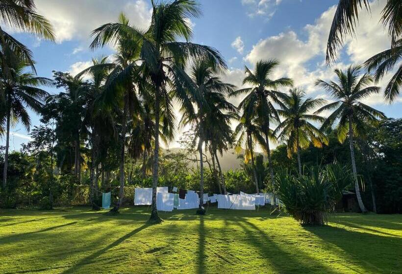 تختخواب و صبحانه Aventura Rincon Ecolodge