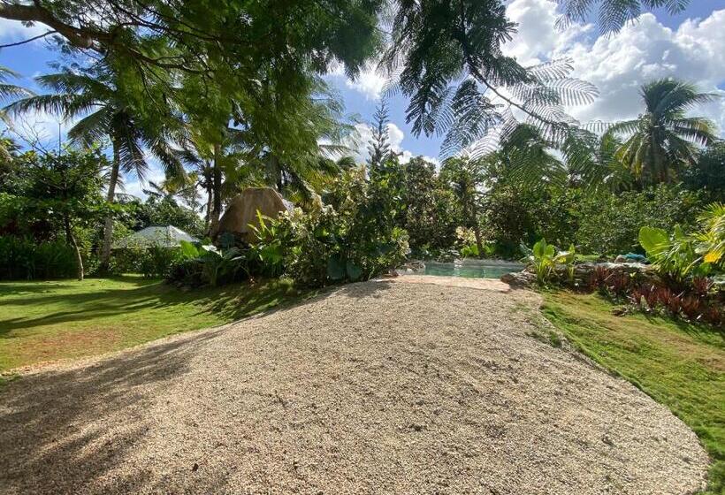 تختخواب و صبحانه Aventura Rincon Ecolodge