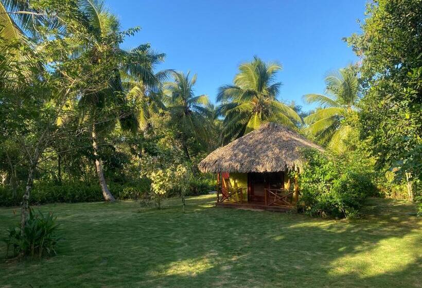 تختخواب و صبحانه Aventura Rincon Ecolodge