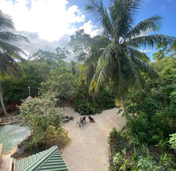 تختخواب و صبحانه Aventura Rincon Ecolodge