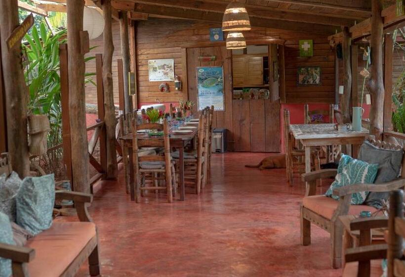تختخواب و صبحانه Aventura Rincon Ecolodge