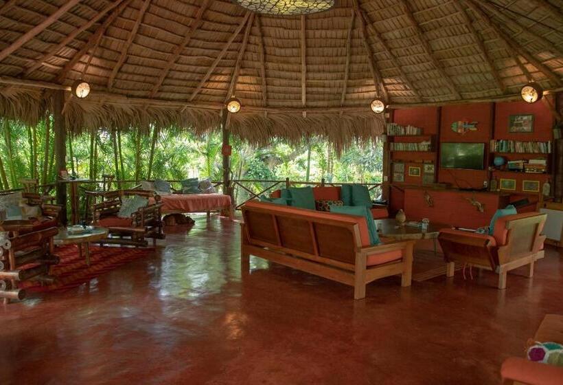 تختخواب و صبحانه Aventura Rincon Ecolodge