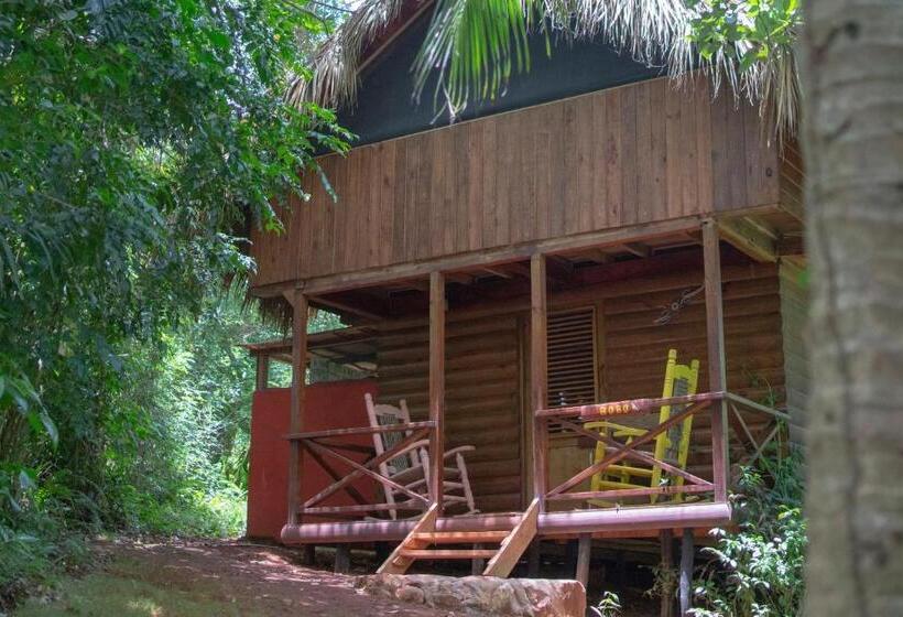 تختخواب و صبحانه Aventura Rincon Ecolodge