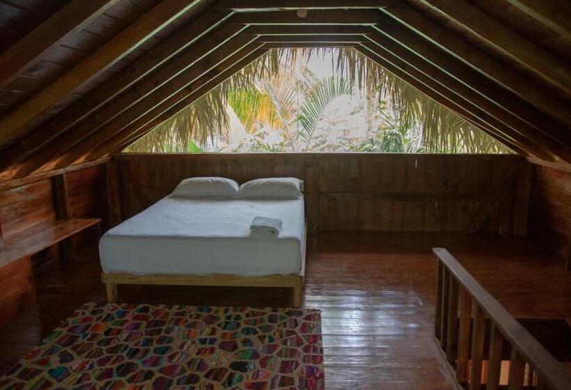 تختخواب و صبحانه Aventura Rincon Ecolodge