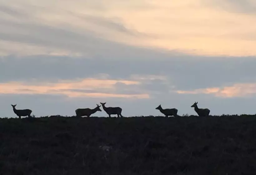 Aamiaismajoitus (B&B) Exmoor House