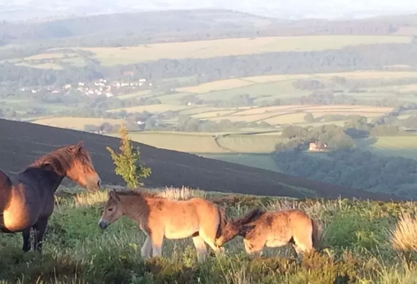 Aamiaismajoitus (B&B) Exmoor House