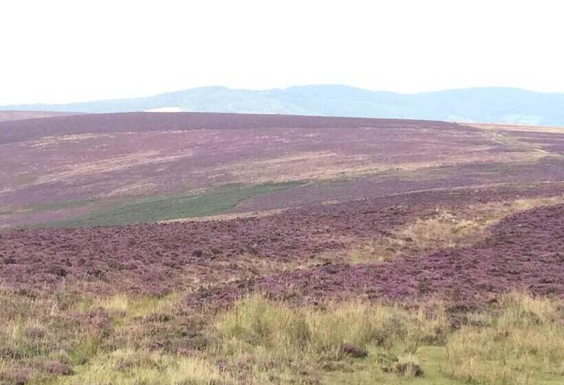 تختخواب و صبحانه Exmoor House