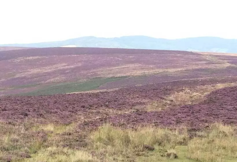 Aamiaismajoitus (B&B) Exmoor House