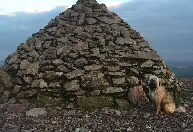 Aamiaismajoitus (B&B) Exmoor House