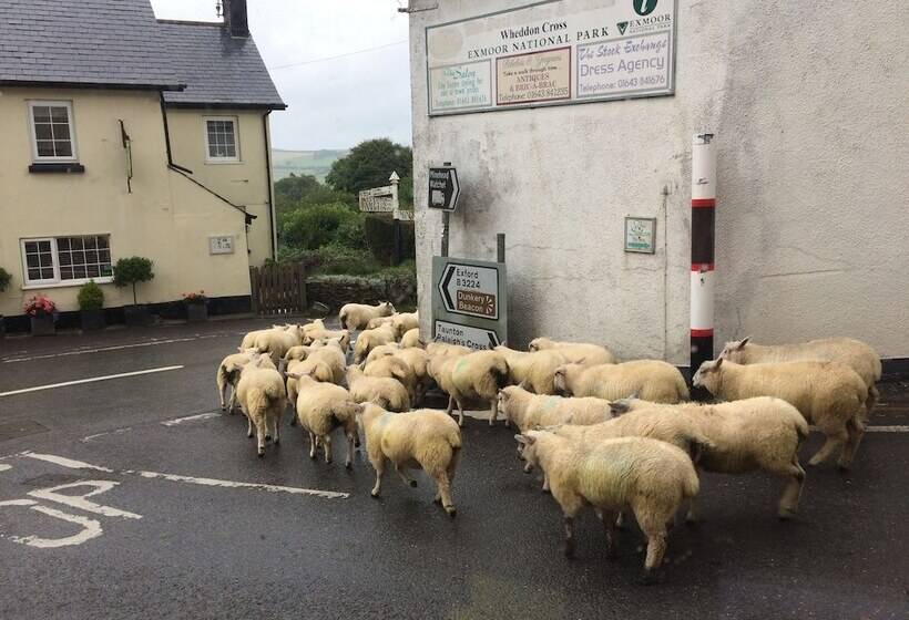 تختخواب و صبحانه Exmoor House