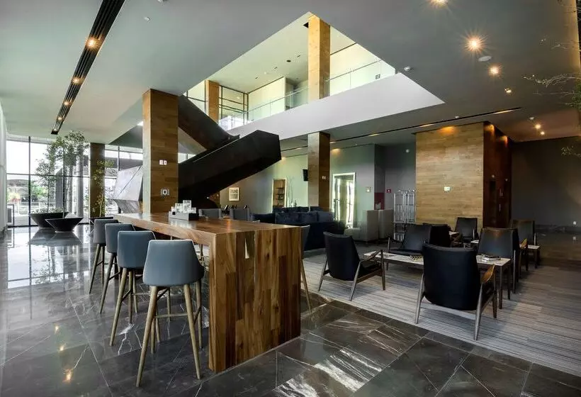 هتل Hilton Garden Inn Aguascalientes
