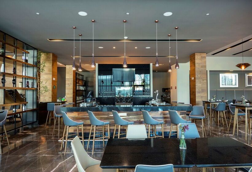 Hotel Hilton Garden Inn Aguascalientes