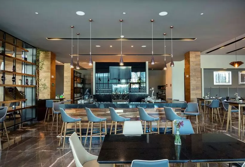 هتل Hilton Garden Inn Aguascalientes