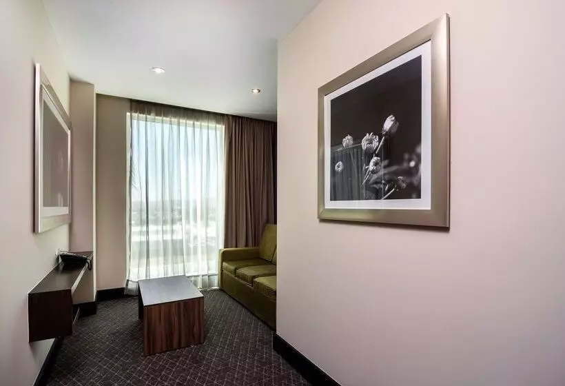 هتل Hilton Garden Inn Aguascalientes