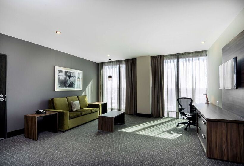 Hotel Hilton Garden Inn Aguascalientes