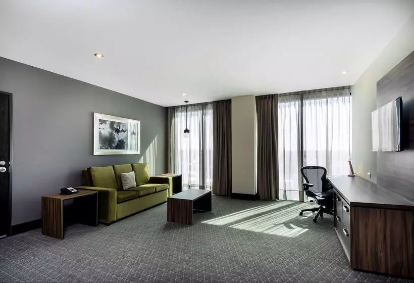 هتل Hilton Garden Inn Aguascalientes