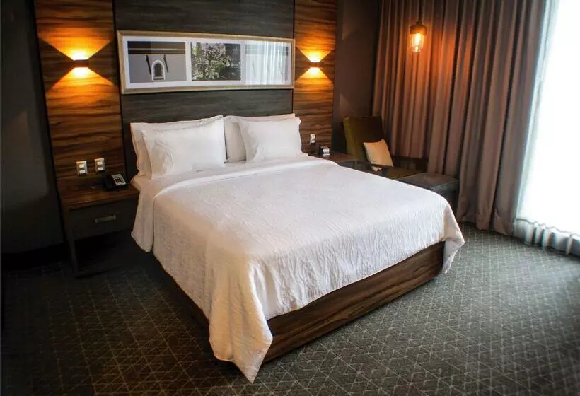 هتل Hilton Garden Inn Aguascalientes